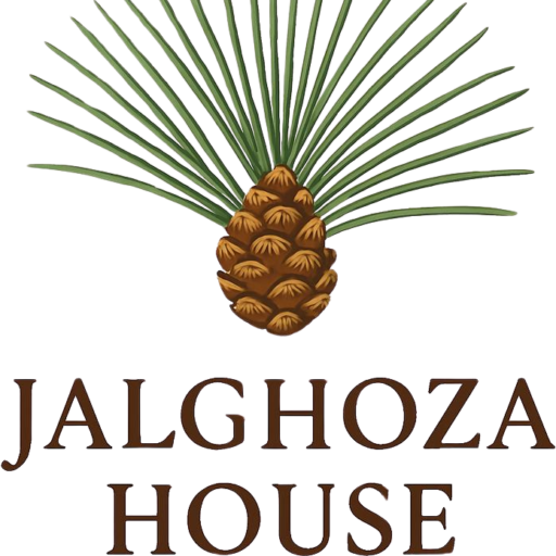 generate professional logo for jalghoza house afghan nuts brand; features authentic long chilgoza pine needle clusters arranged in wide fan shape w